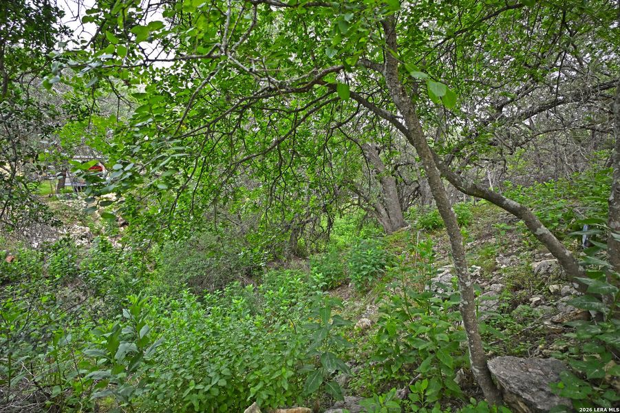 Natural landscape and outdoor views near in Canyon Lake (Image 23). Natural landscape and outdoor views near in Canyon Lake (Image 23).