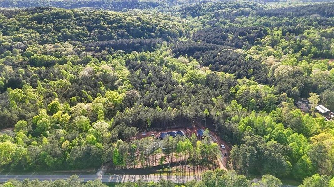 Natural landscape and outdoor views near  in Talking Rock (Image 46).