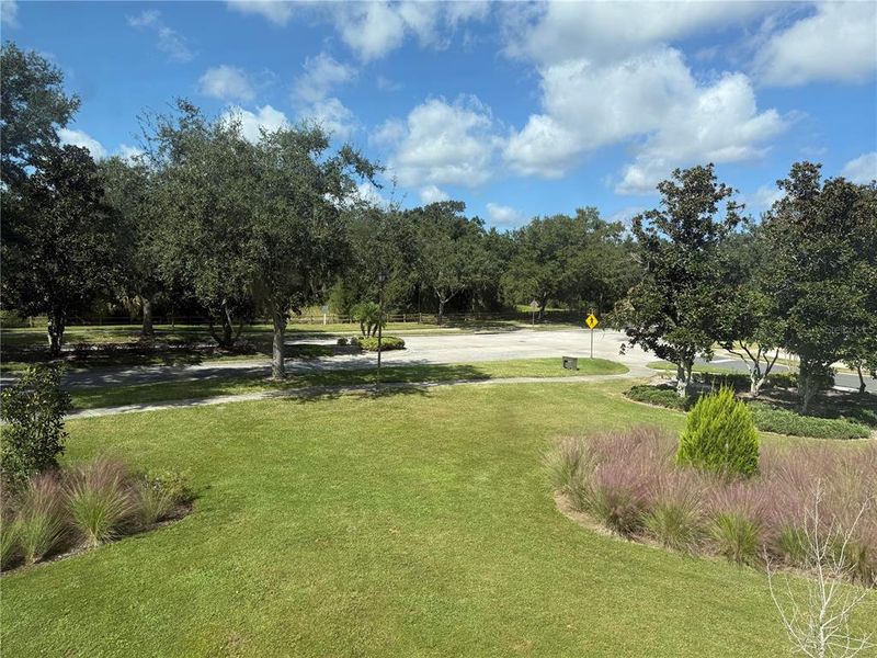 Natural landscape and outdoor views near The Townhomes at Bellalago in Kissimmee (Image 27). Natural landscape and outdoor views near The Townhomes at Bellalago in Kissimmee (Image 27).