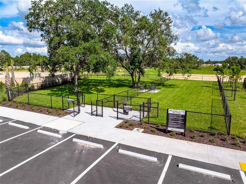 Community amenities in Palm Wind, Hudson (Image 32).