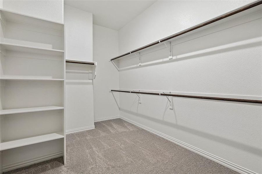 Spacious closet with carpet