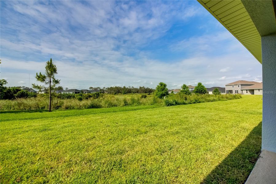 Exterior details and patio area of a home in Wyld Palms, Parrish (Image 20).