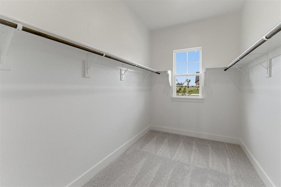 Walk-in closet with window, light gray carpet, white baseboards, and built-in shelving with hanging rods