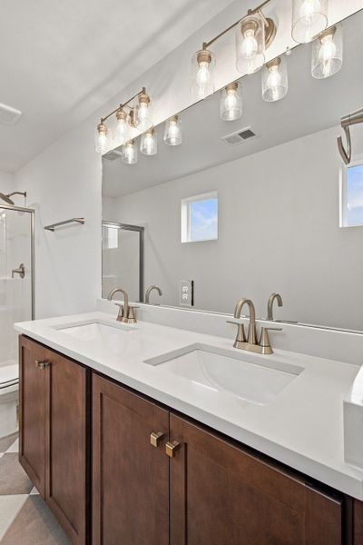 Owner's Bath