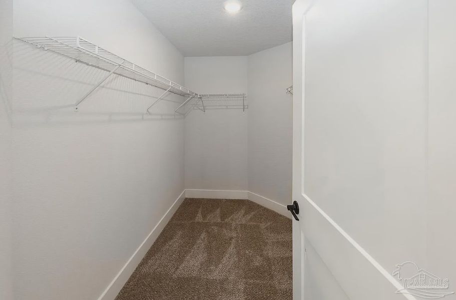 Spacious, unfurnished interior of a new home in Hidden Pines, Milton (Image 15). Spacious, unfurnished interior of a new home in Hidden Pines, Milton (Image 15).