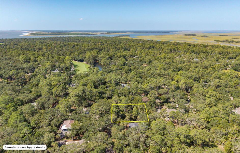 Natural landscape and outdoor views near  in Seabrook Island (Image 8).