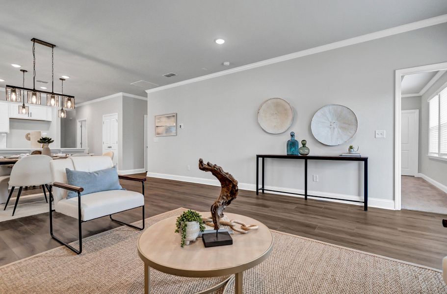 Furnished interior view inside a new home in Monroe Preserve, Chapin (Image 38).