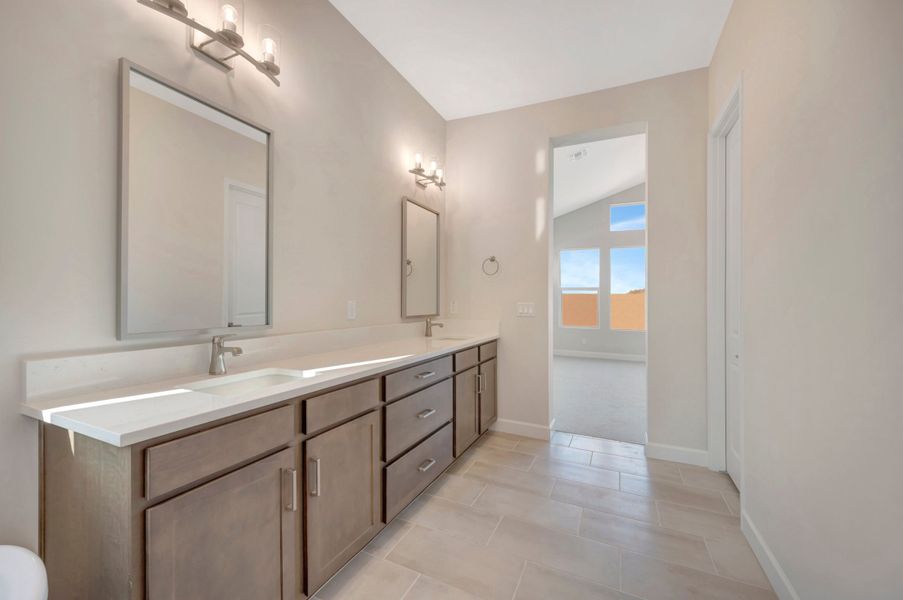 Owner's Bath