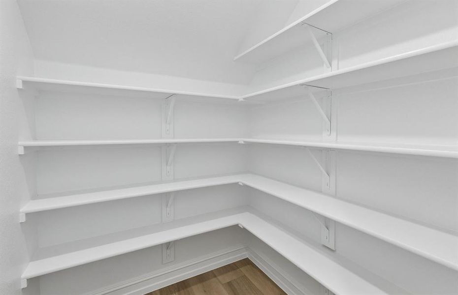 Pantry for kitchen
