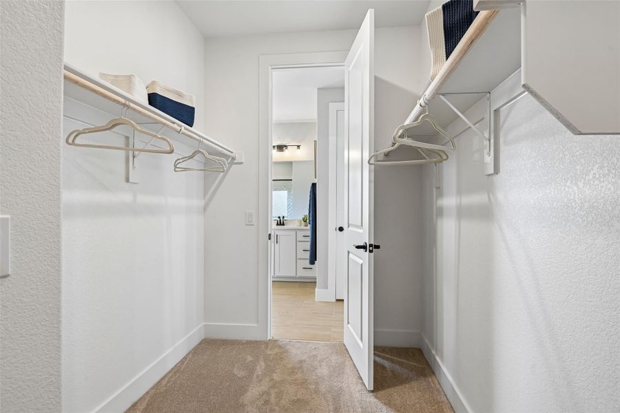 Walk-in closet with double hanging rods on both sides, carpet flooring, and open door leading to bathroom with white cabinets Walk-in closet with double hanging rods on both sides, carpet flooring, and open door leading to bathroom with white cabinets