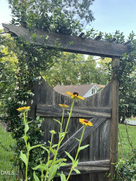 Garden Garden