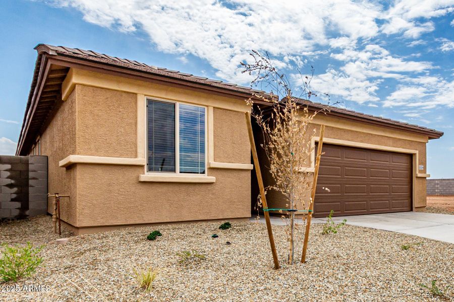 6 - Soft Wind 6 - Soft Wind