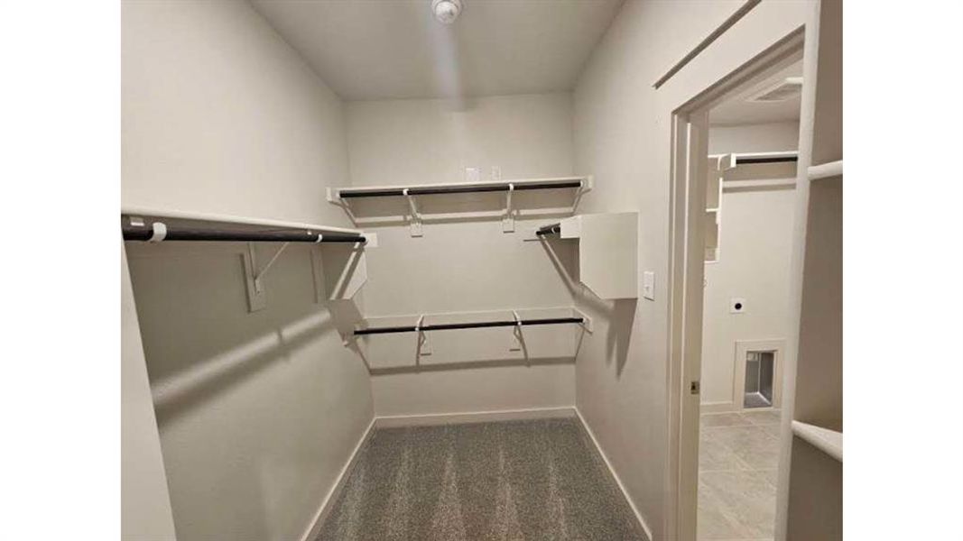Walk-in closet featuring carpet flooring, built-in shelving, and hanging rods