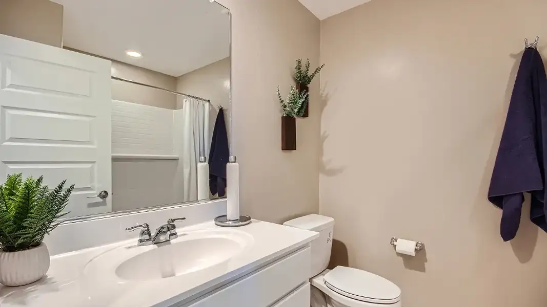 2566 Lily Bath2 F1 2566 Lily Bath2 F1