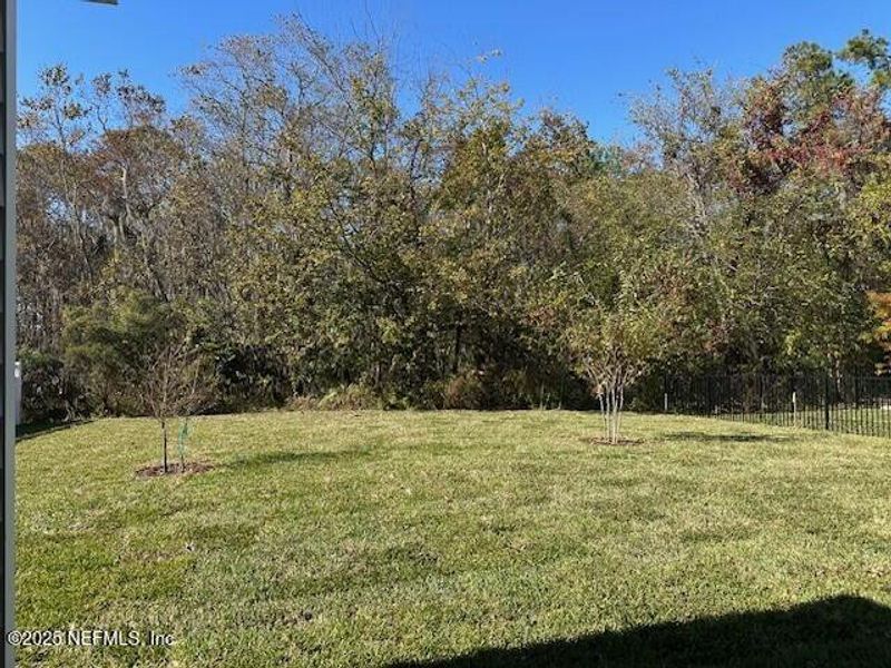 Natural landscape and outdoor views near Silver Landing at SilverLeaf in St. Augustine (Image 35).