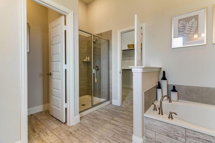 Owner's Bathroom