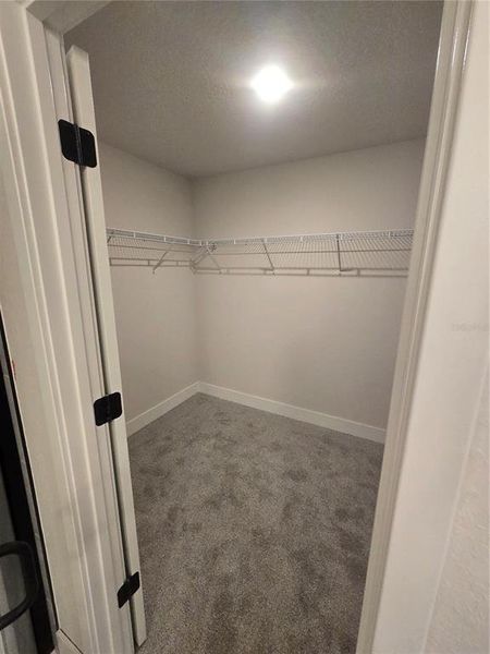 Spacious, unfurnished interior of a new home in , Inverness (Image 7).