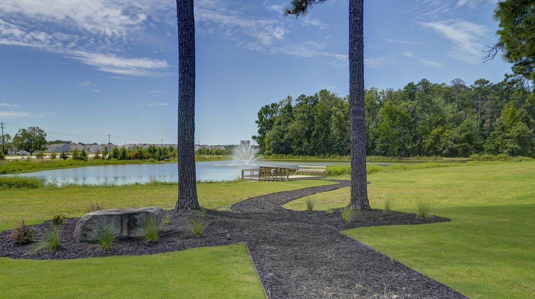 Natural landscape and outdoor views near Sease's Pond in Gilbert (Image 19).