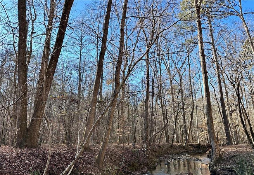 Natural landscape and outdoor views near  in Cumming (Image 35).