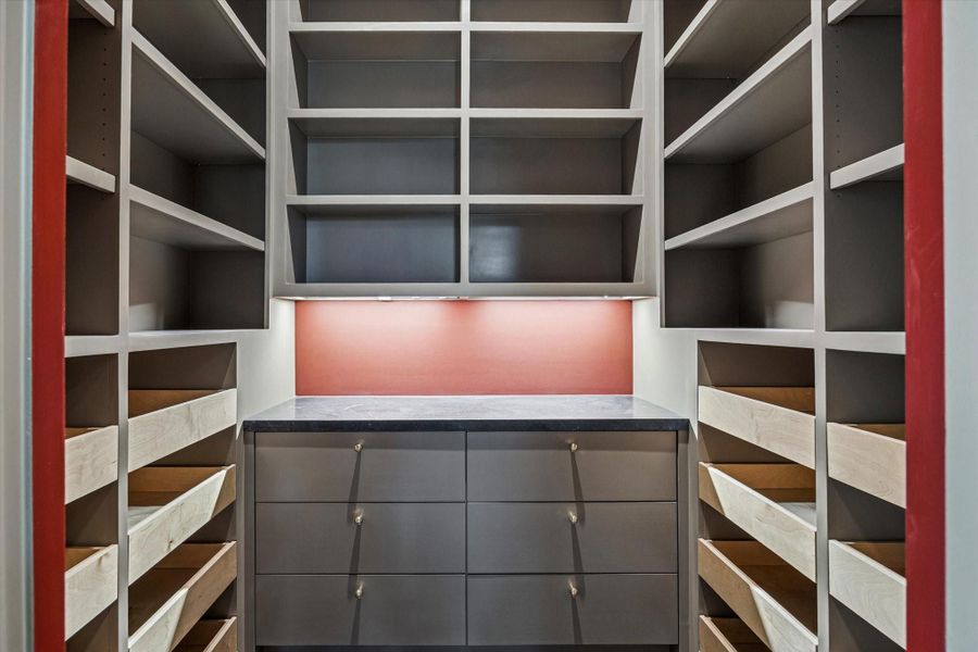 Fabulous spacious pantry.