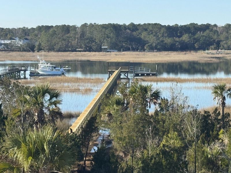 Natural landscape and outdoor views near  in Awendaw (Image 38).