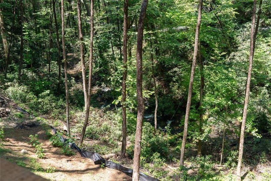 Natural landscape and outdoor views near in Blue Ridge (Image 31). Natural landscape and outdoor views near in Blue Ridge (Image 31).