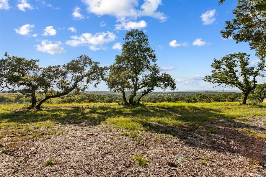 Natural landscape and outdoor views near  in Johnson City (Image 18).