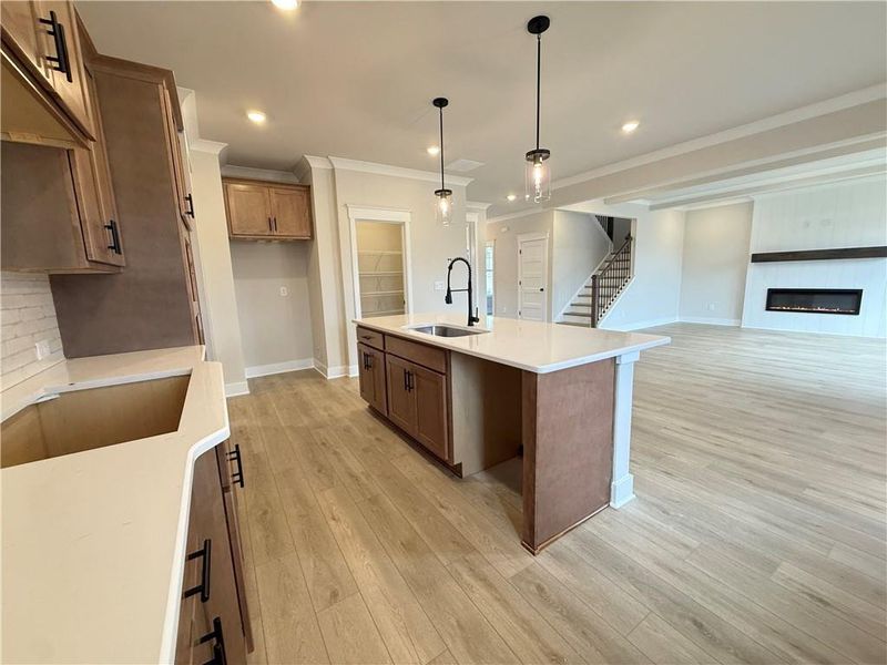 Furnished interior view inside a new home in Ponderosa Farms Manor, Gainesville (Image 10). Furnished interior view inside a new home in Ponderosa Farms Manor, Gainesville (Image 10).
