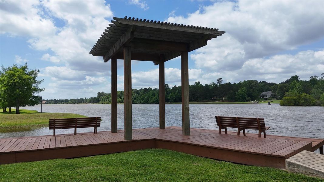Community amenities in Ridgelake Shores, Montgomery (Image 40).