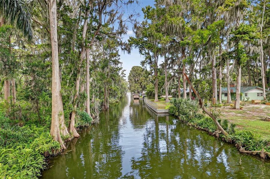 Natural landscape and outdoor views near in Tavares (Image 23). Natural landscape and outdoor views near in Tavares (Image 23).