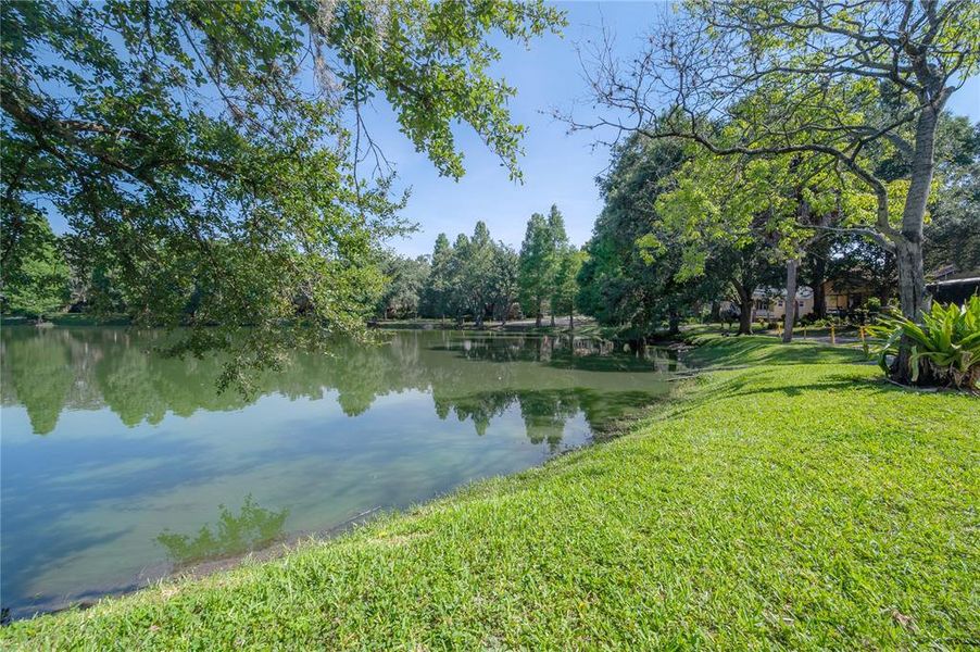 Natural landscape and outdoor views near  in Tampa (Image 63).
