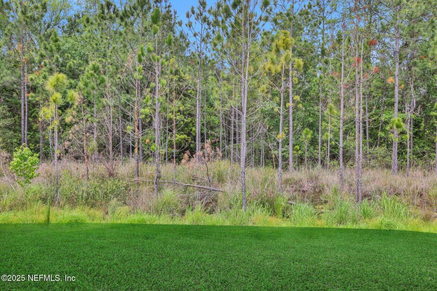 Image 24 of a home in Atlantis Pointe.