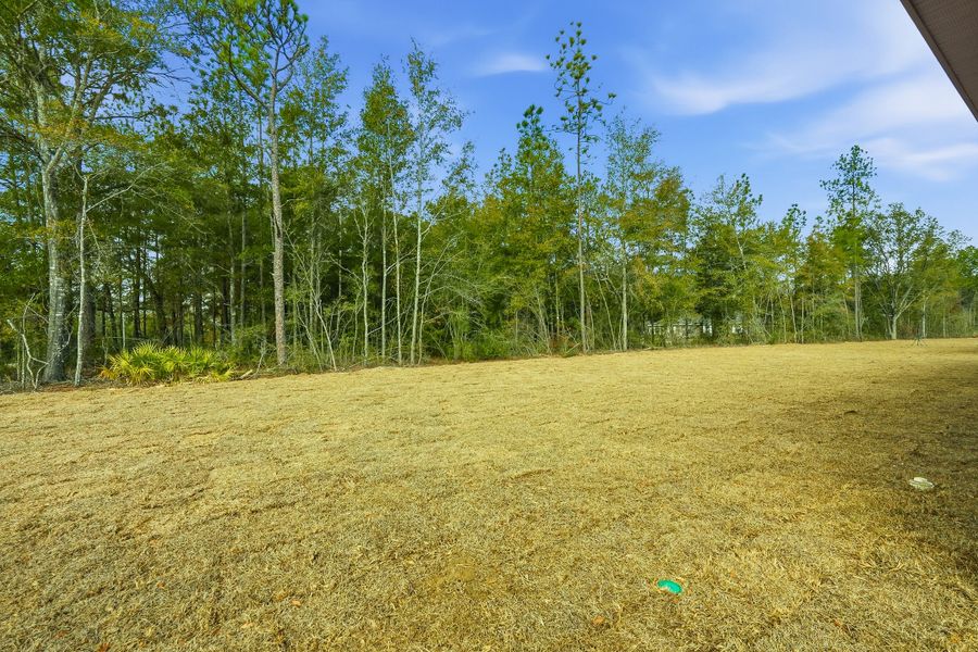 Natural landscape and outdoor views near Southern Charm in Crestview (Image 47).