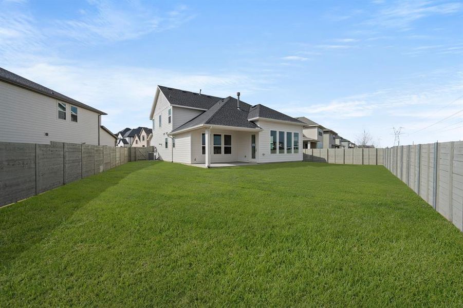 1562 Ginger- Back-5281