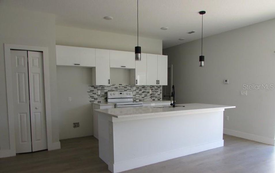 Furnished interior view inside a new home in , Ocklawaha (Image 5).