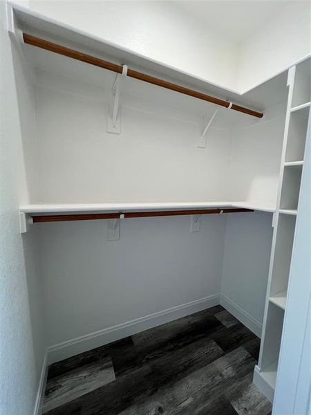 Spacious closet featuring dark wood-style floors