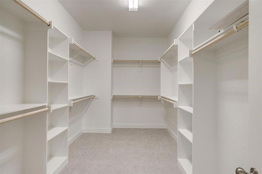 Walk in closet featuring light colored carpet