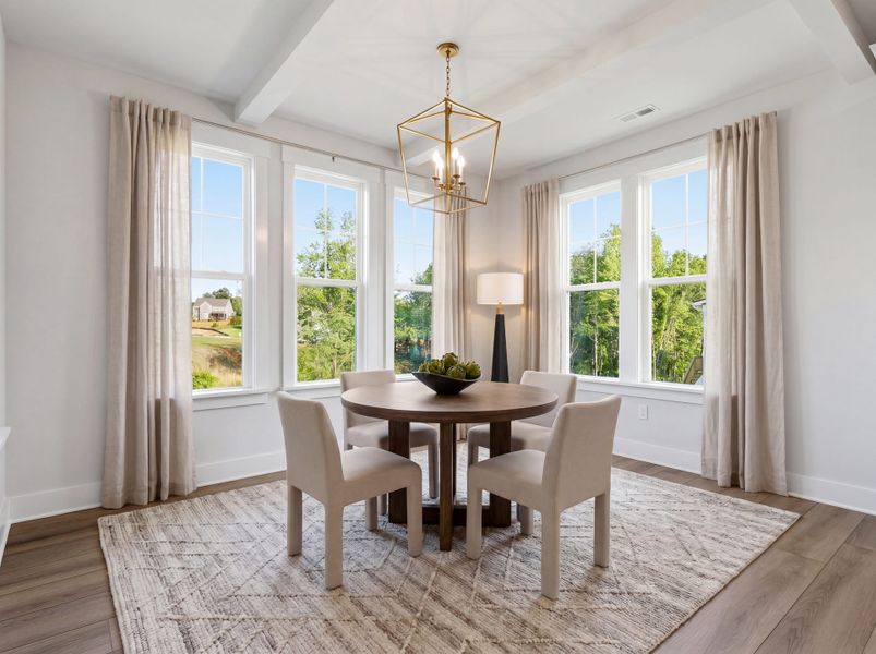 Representative furnished interior of a home built from the Roanoke - Vanguard Collection by Mungo Homes in Meadow Valley, High Point (Image 4).