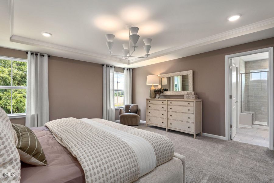 PO Mitchell Model (19)