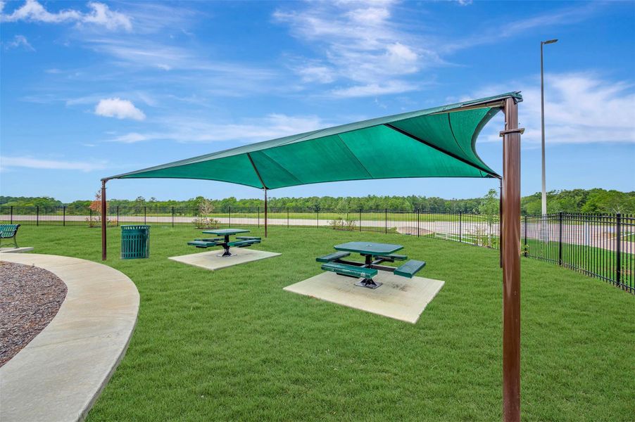 Relax in the shade on the picnic benches