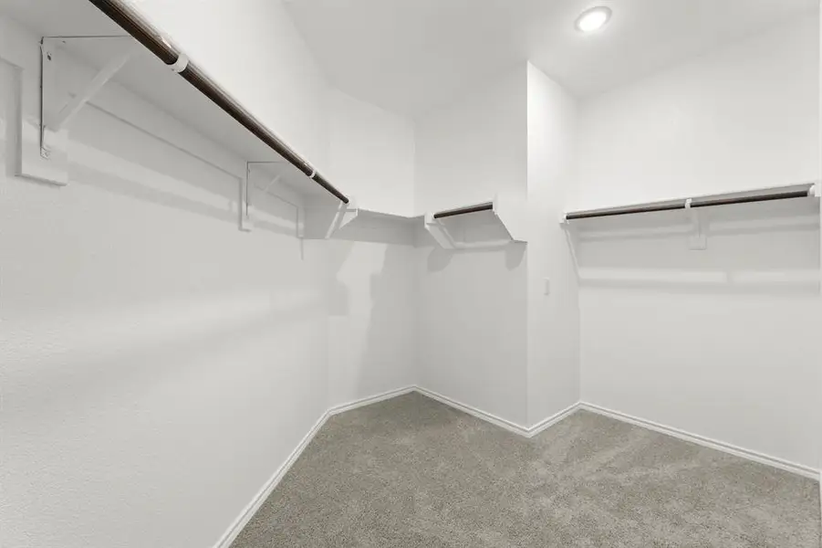 18. 203 Bandit - Closet 18. 203 Bandit - Closet