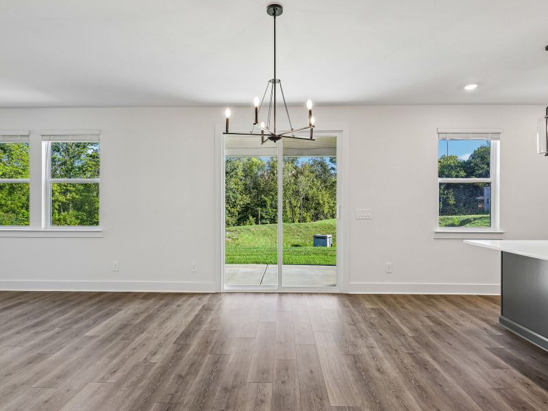 Spacious, unfurnished interior of a new home in Station Hill - Estate Series, Franklin (Image 13).