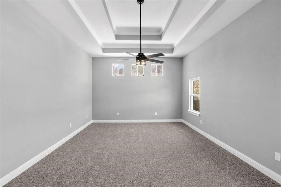 Spare room with a raised ceiling, healthy amount of natural light, light carpet, and ceiling fan
