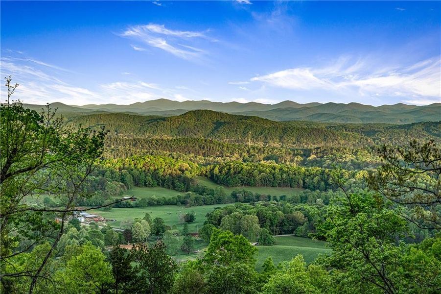 Natural landscape and outdoor views near  in Mineral Bluff (Image 78).