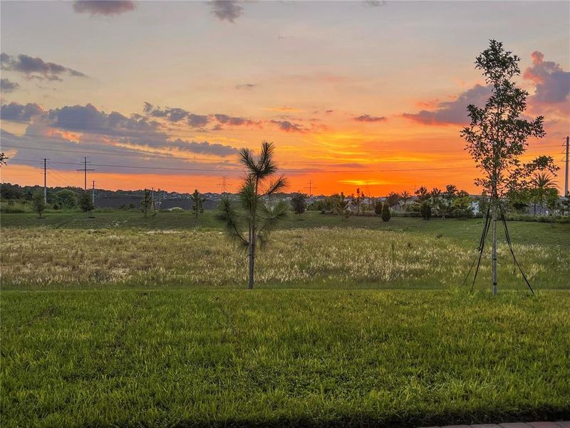 Natural landscape and outdoor views near Waterbrooke in Clermont (Image 65).