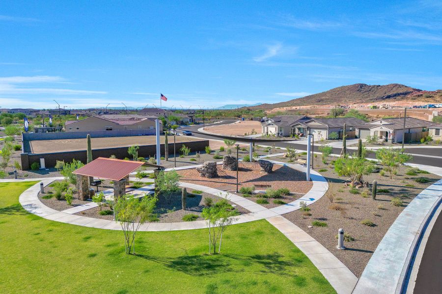 Image 9 representing the Olive by Mattamy Homes in Sereno, Peoria, AZ.