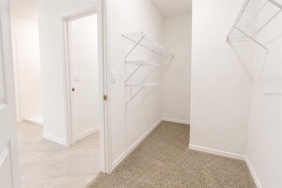 Spacious, unfurnished interior of a new home in Deerbrook, Land O' Lakes (Image 31).