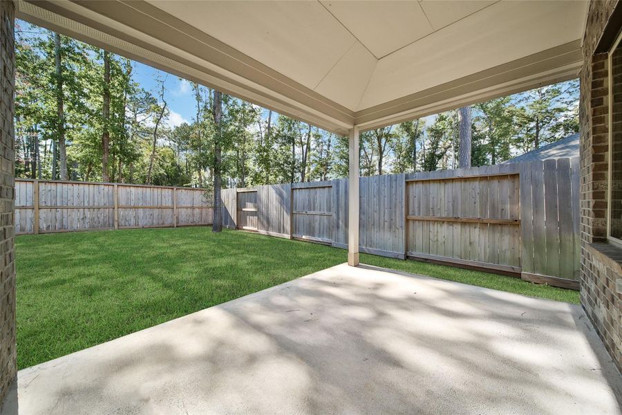 Exterior details and patio area of a home in The Highlands: Richmond Collections, Porter (Image 21).