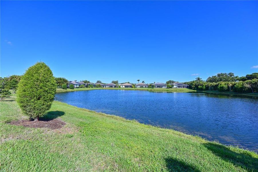 Natural landscape and outdoor views near  in Sarasota (Image 32).