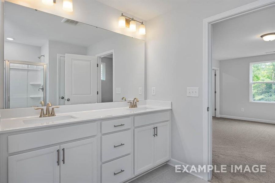 Bathroom featuring vanity and a shower with shower door